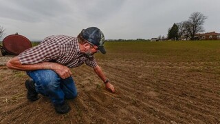 Viacero zmien prinesie nová spoločná poľnohospodárska politika, ekologické dotácie sú jednou z nich